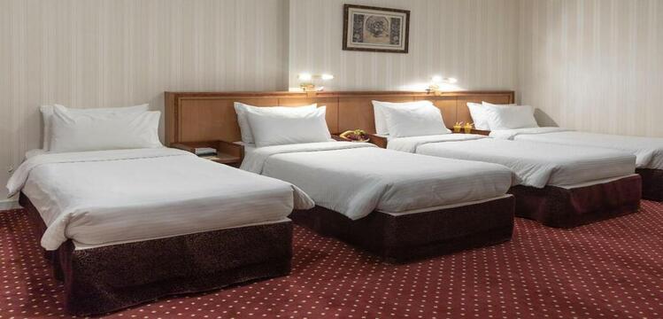 Economy Standard Hotel image