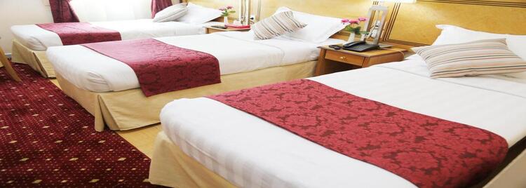 Oasis Aldeafah Hotel image